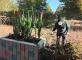 Jardinage quotidien Résidence Les Grands Chênes Saix